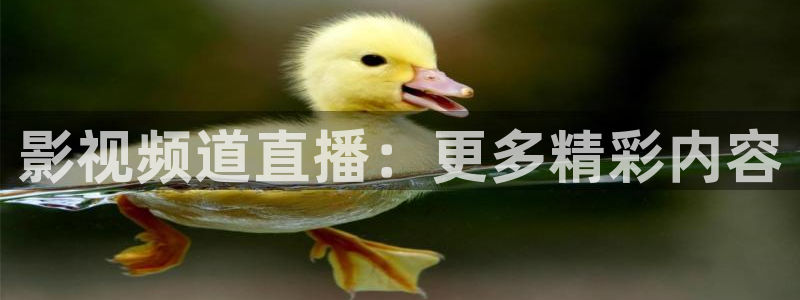 星辰影院电视剧在线看入口免费