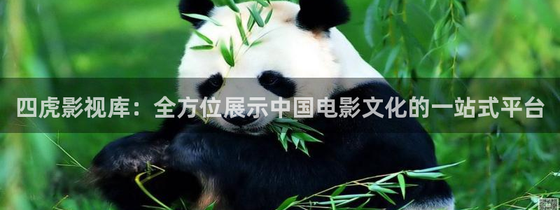 流光之城电视剧在线观看星辰影院